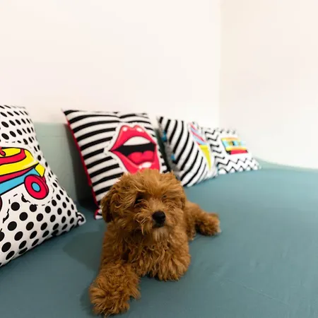 Cappuccino Pop, Metro A